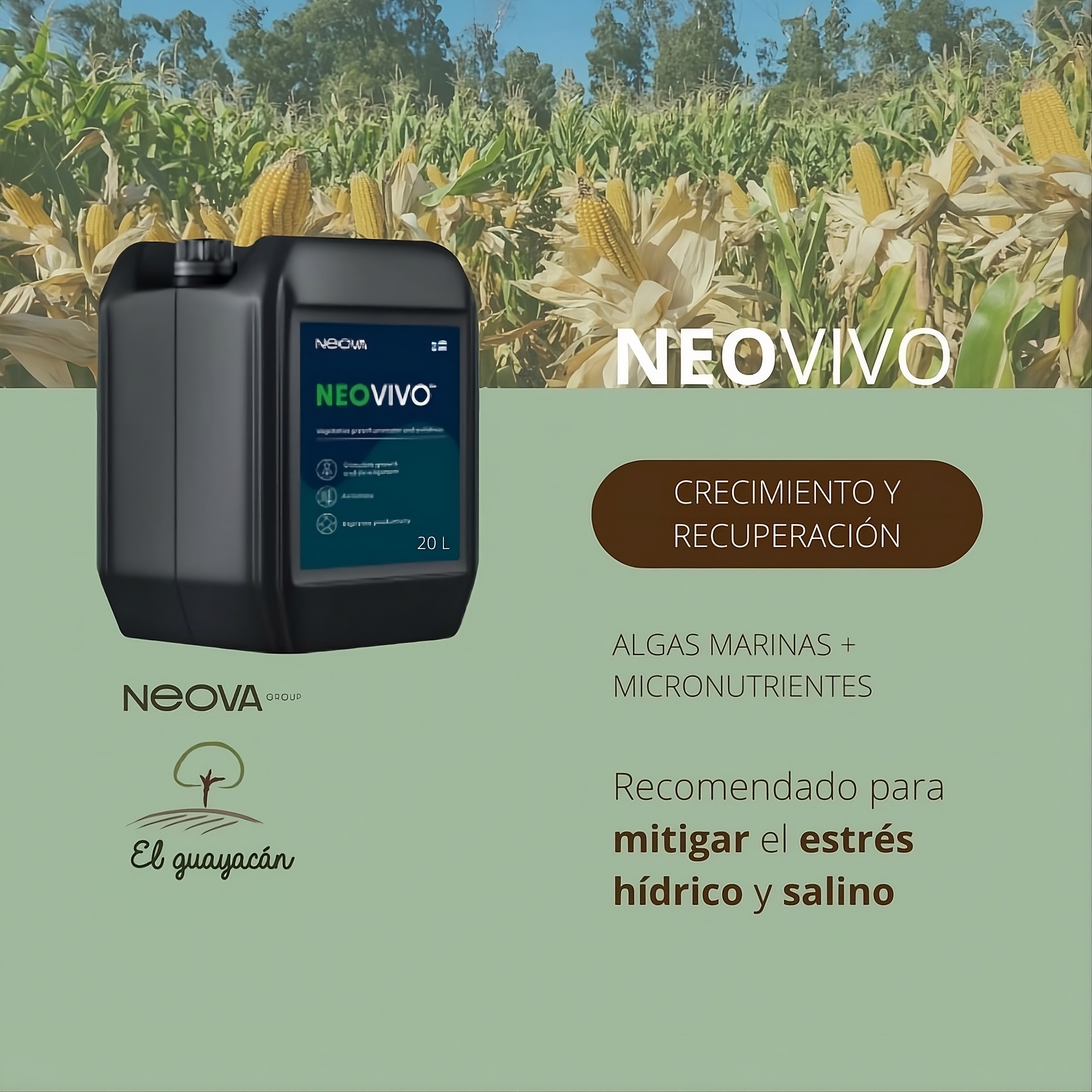 Bidón de bioestimulante NEOVIVO