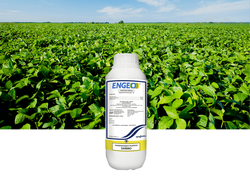 Insecticidas Syngenta