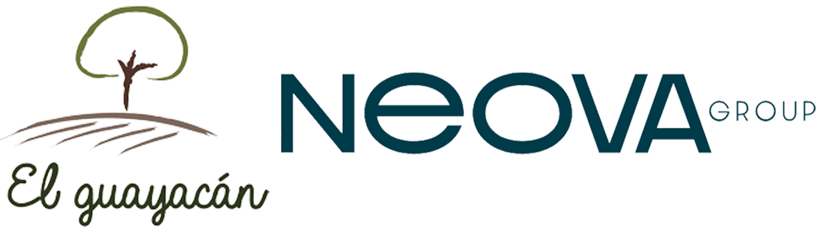 Logo Neova by El Guayacán